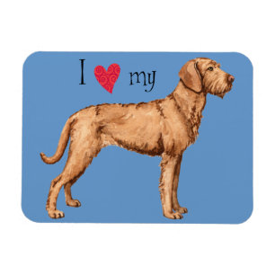 I Love my Wirehaired Vizsla Magnet