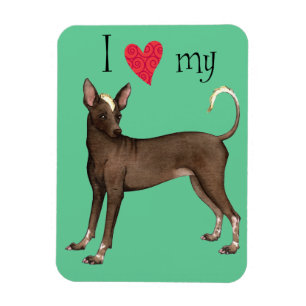 I Love my Xolo Magnet