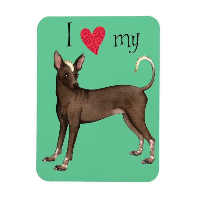 I Love my Xolo Magnet (Vertical)