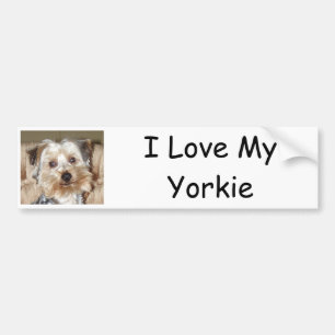 I Love My Yorkie Bumper Sticker