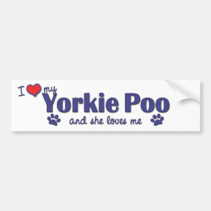 I Love My Yorkie Poo (Female Dog) Bumper Sticker