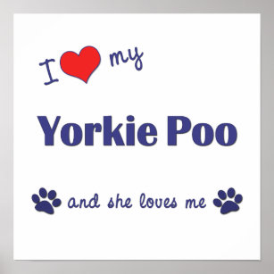 I Love My Yorkie Poo (Female Dog) Poster