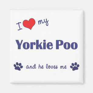 I Love My Yorkie Poo (Male Dog) Magnet