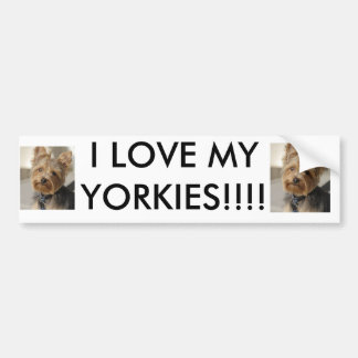 I LOVE MY YORKIES!!!! BUMPER STICKER