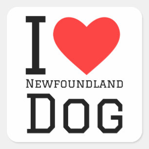 I love Newfoundland dog  Square Sticker