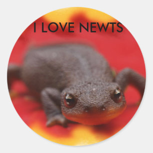 I Love Newts Classic Round Sticker