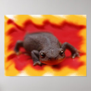 I Love Newts Fine Art Prints