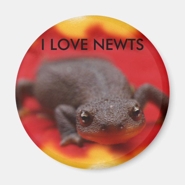 I Love Newts Magnet (Front)
