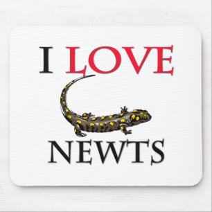 I Love Newts Mouse Mat