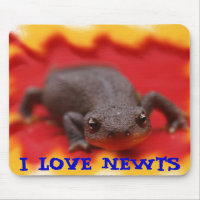 I Love Newts