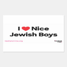 I Love Nice Jewish Boys Sticker Sheet