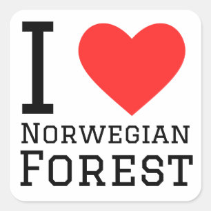 I love Norwegian forest Square Sticker