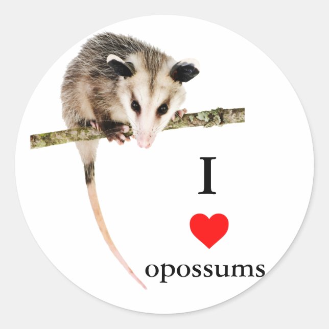 I Love Opossums Sticker (Front)