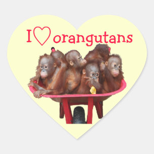 I Love Orangutans Heart Sticker