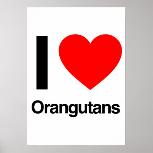 i love orangutans poster