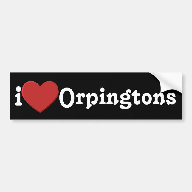 I love Orpingtons Bumper Sticker (Front)