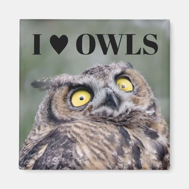 I Love Owls Magnet (Front)