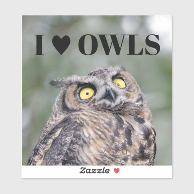 I Love Owls Sticker (Sheet)