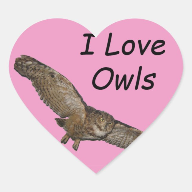 I love owls stickers (Front)