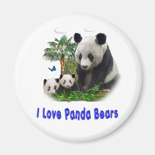 I love panda Bears Magnet