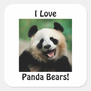 I Love Panda Bears Square Sticker