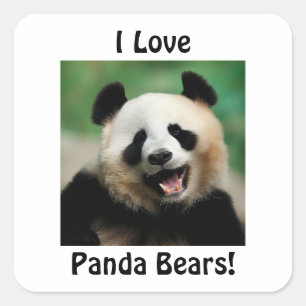 I Love Panda Bears Square Sticker