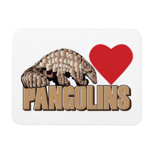 I love Pangolins Magnet