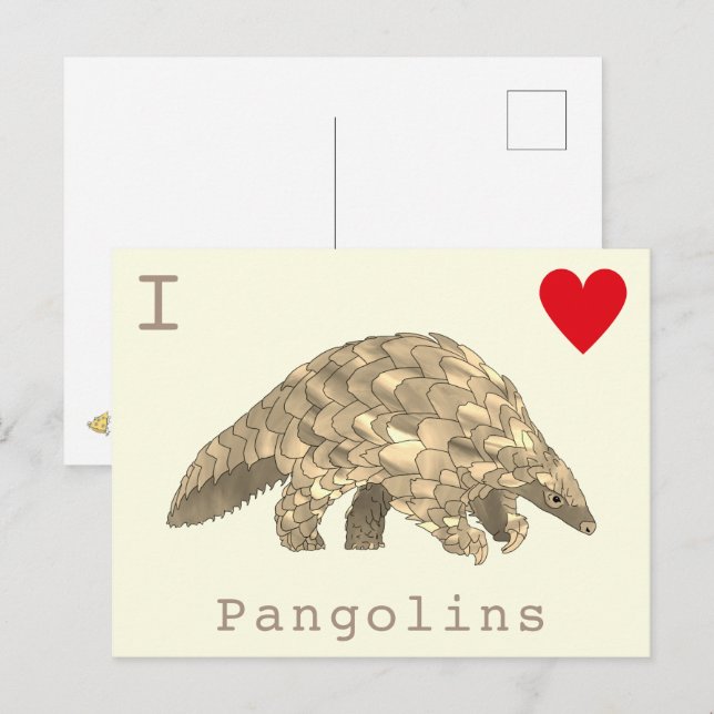 I Love Pangolins rare wildlife slogan Postcard (Front/Back)