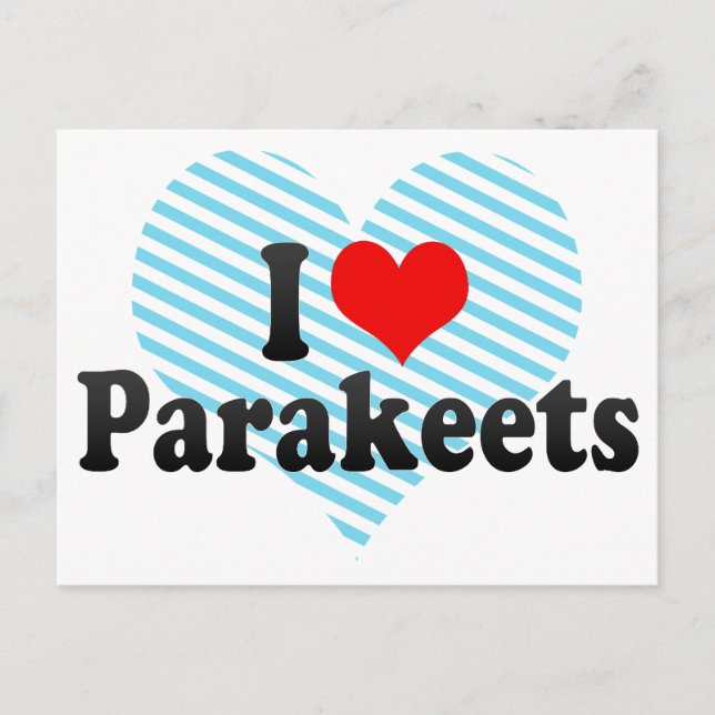I Love Parakeets Postcard (Front)