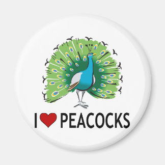 I Love Peacocks Magnet