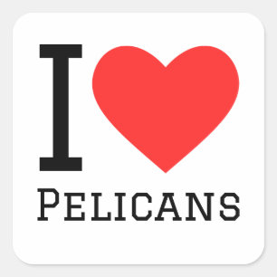 I love pelicans square sticker