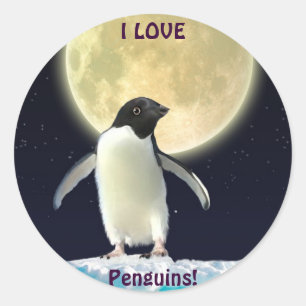I LOVE PENGUINS Cute Penguin Stickers