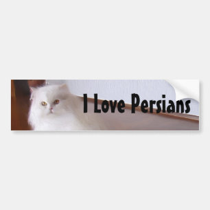 I Love Persian cats bumper sticker
