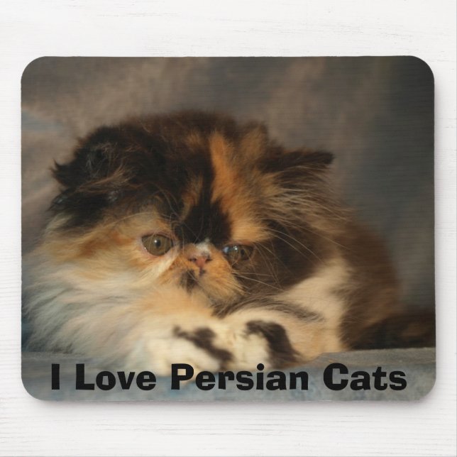 I Love Persian Cats Mouse Mat (Front)