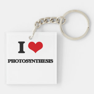 I Love Photosynthesis Key Ring