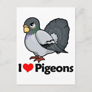 I Love Pigeons Postcard