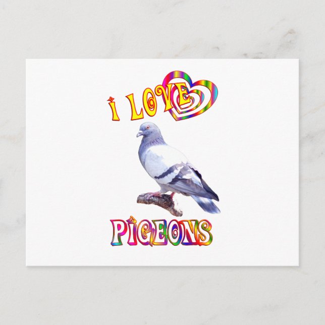I Love Pigeons Postcard (Front)