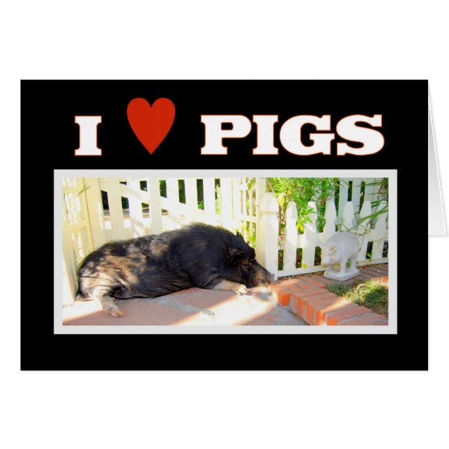 I love Pigs (Front Horizontal)
