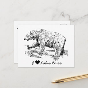 I Love Polar Bears Postcard