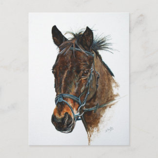 I Love Ponies Postcard