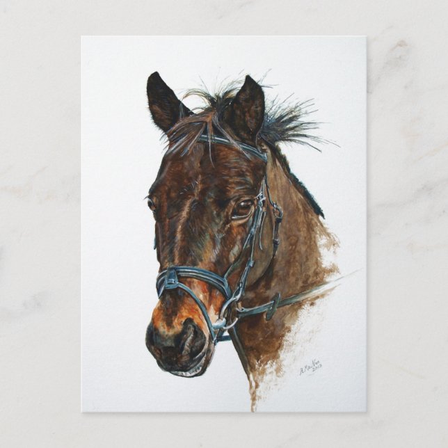 I Love Ponies Postcard (Front)