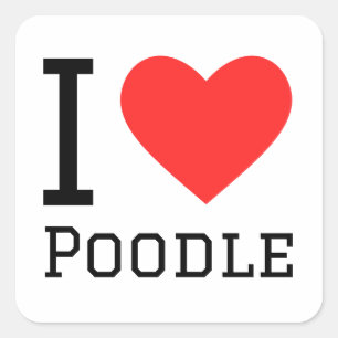 I love poodle square sticker