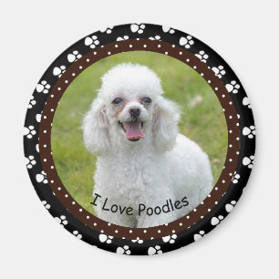 I love Poodles  Magnet