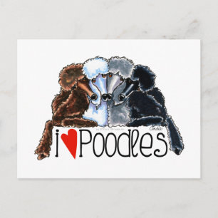 I Love Poodles Postcard