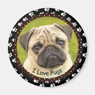 I love Pugs  2  Magnet