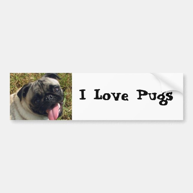 I Love Pugs Bumper Sticker (Front)