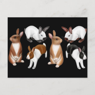 I Love Rabbits Postcard