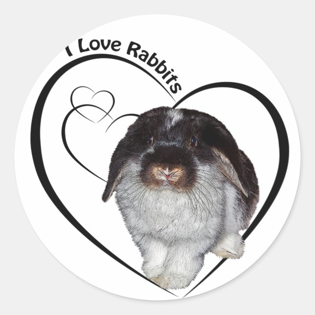 I Love Rabbits Sticker (Front)