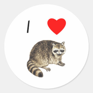 I Love Raccoons Classic Round Sticker