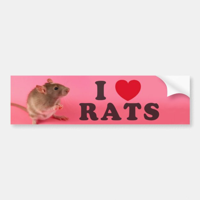 I love Rats (in pink) Bumper Sticker (Front)